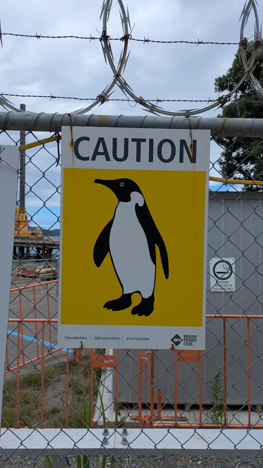 When Penguins Go Rogue: A Tale of Mischief