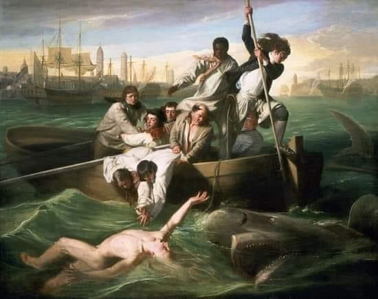 a classical painting depicts a group of men in a small boat on turbulent water, with a large shark attacking a nude man in…