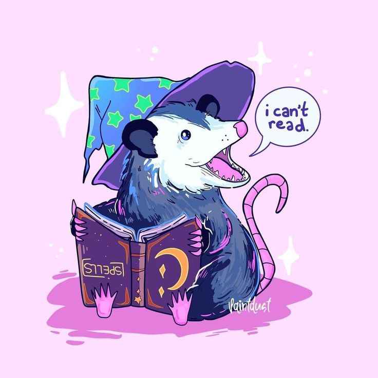 A cartoon opossum wearing a purple witch hat with green stars sits on a pink surface, holding an open book titled 'SPELLS'…