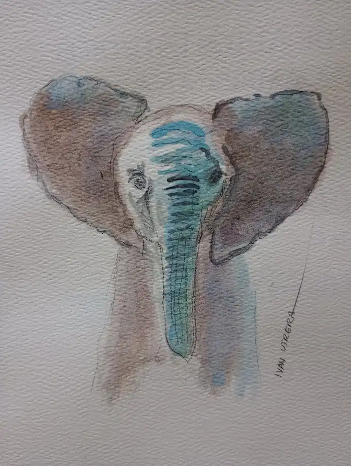 A watercolor painting of an elephant's head and trunk, rendered in brown and teal hues on textured paper, with the artist's…