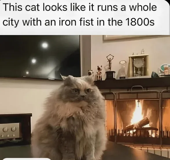 A fluffy, long-haired cat with a stern, unimpressed expression sits on a mantelpiece in front of a lit fireplace. Behind the…