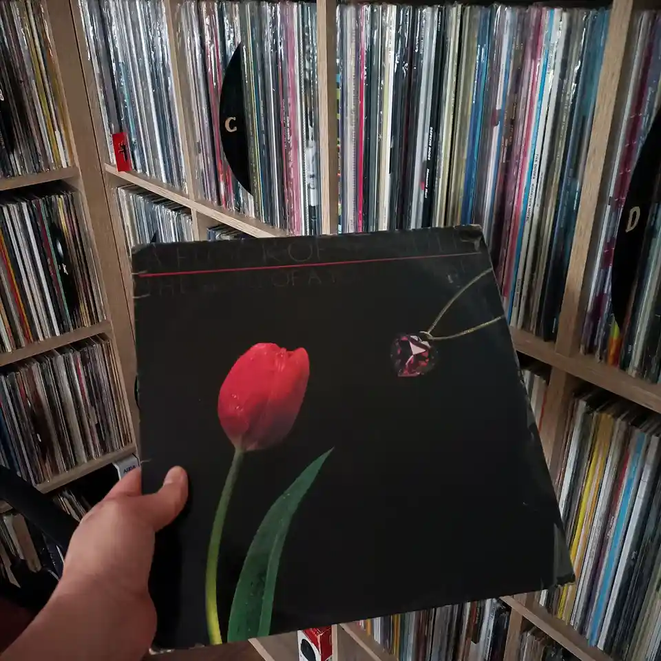 A hand holds up a worn vinyl record album cover featuring a red tulip and a heart-shaped pendant against a black background…