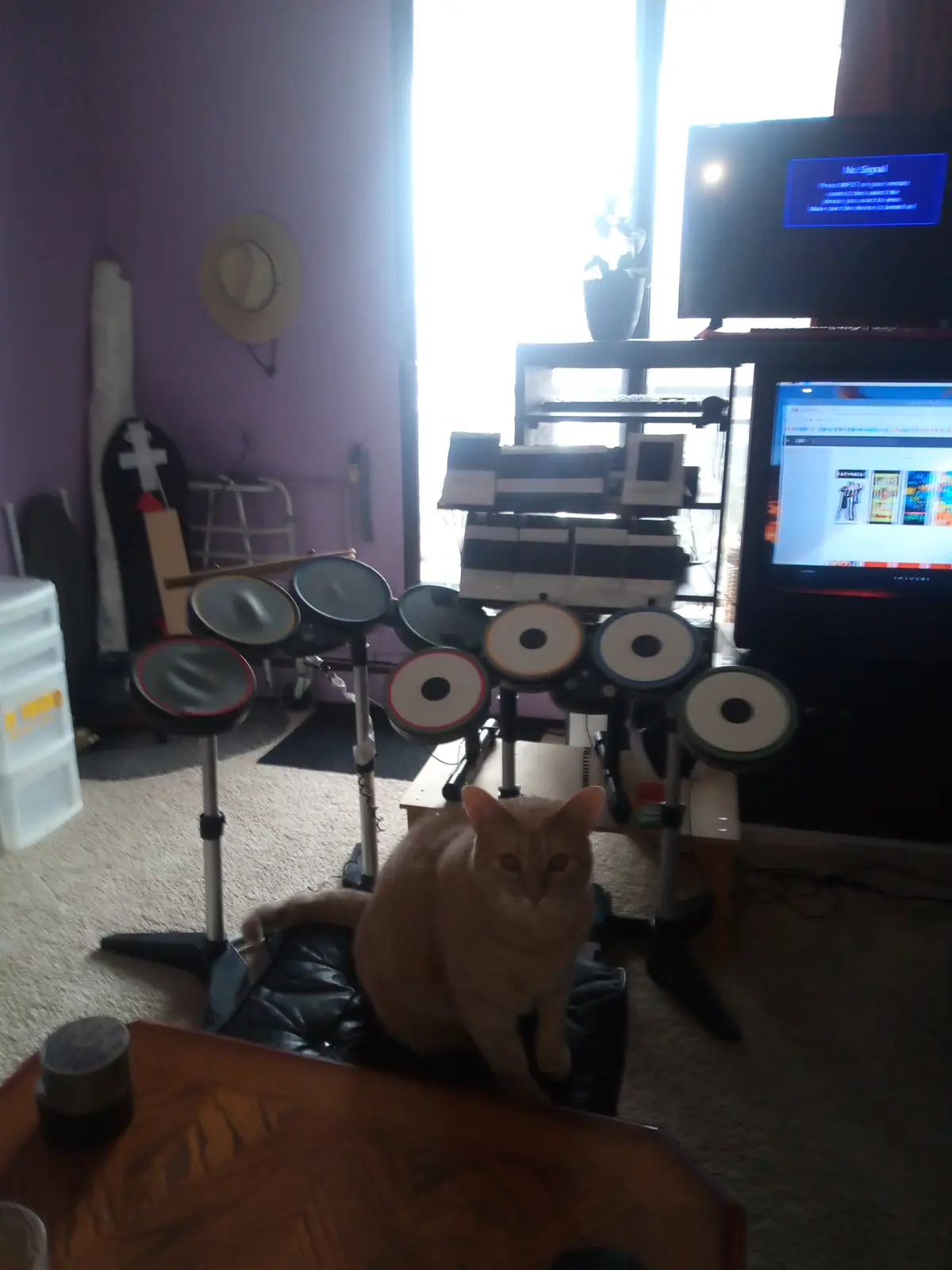 An orange tabby cat sits calmly on a black chair in front of an electronic drum set, with a TV screen above displaying a 'No…