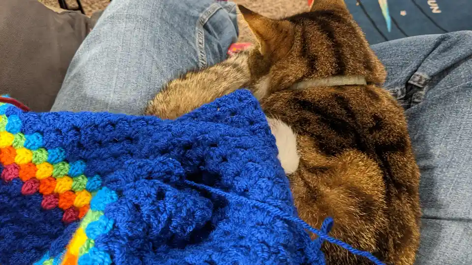 A tabby cat with a collar is curled up sleeping on someone's lap, partially covered by a colorful crocheted blanket with a…