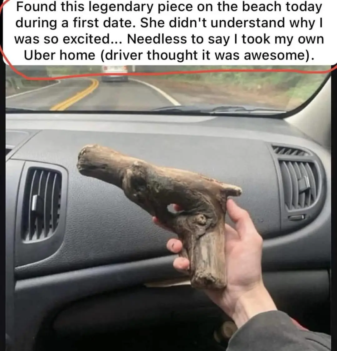 A person is sitting in a car, holding up a piece of driftwood that naturally resembles a handgun. The text overlay narrates…