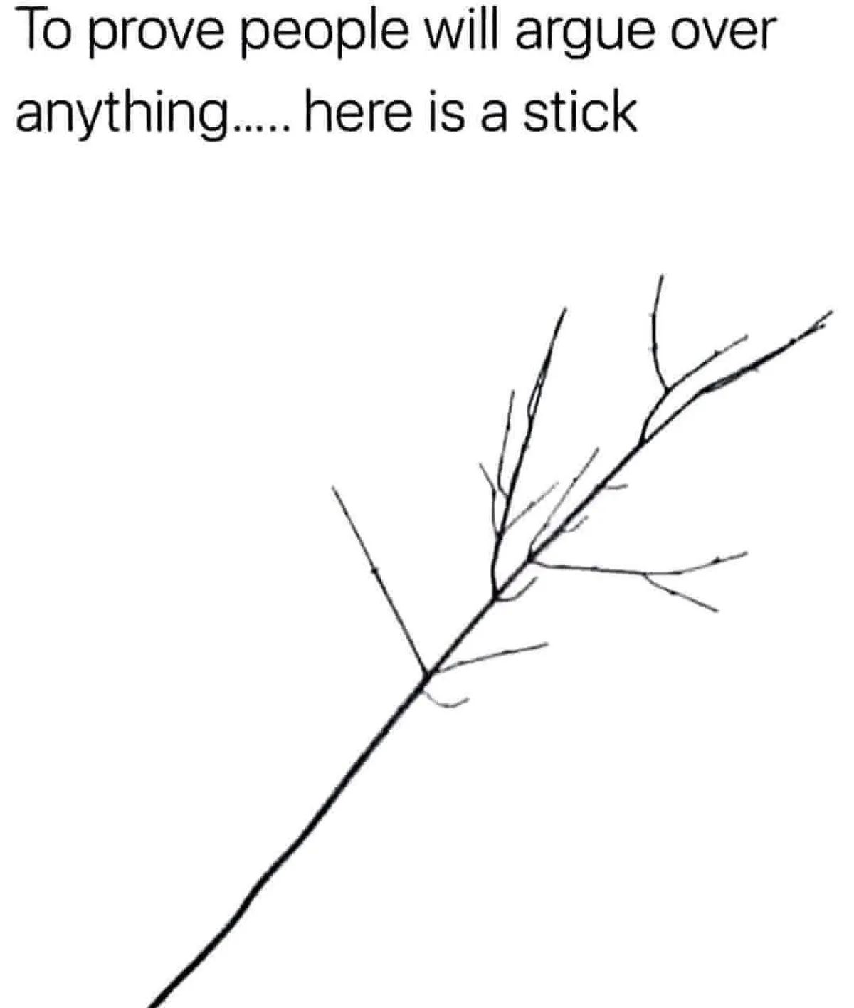 A simple black-and-white image shows a hand-drawn stick with several smaller branches extending from it, set against a plain…