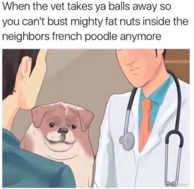 An anime-style illustration shows a person in a blue shirt holding a small, chubby, smiling pug-like dog while a male…