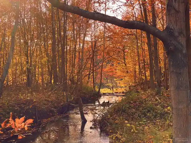 A Collection of My Most Stunning Photos!