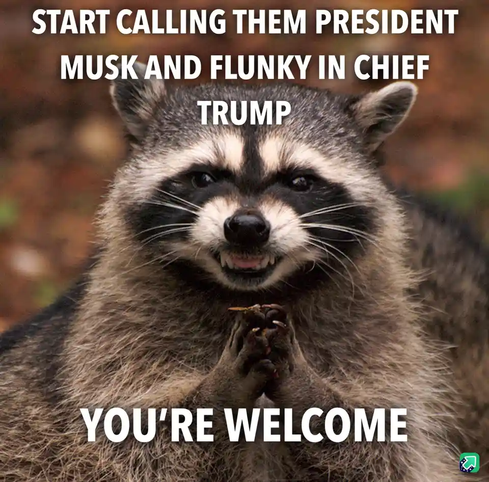 A close-up photo of a raccoon with a smug, self-satisfied expression, its paws clasped together in front of its chest as if…