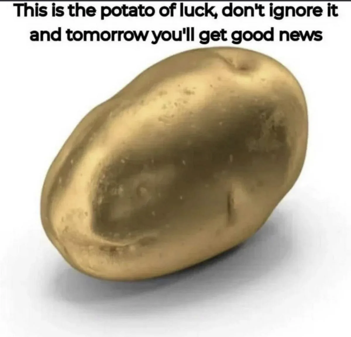 A single, shiny golden potato is centered on a plain white background, with bold black text overlaid at the top. The text…