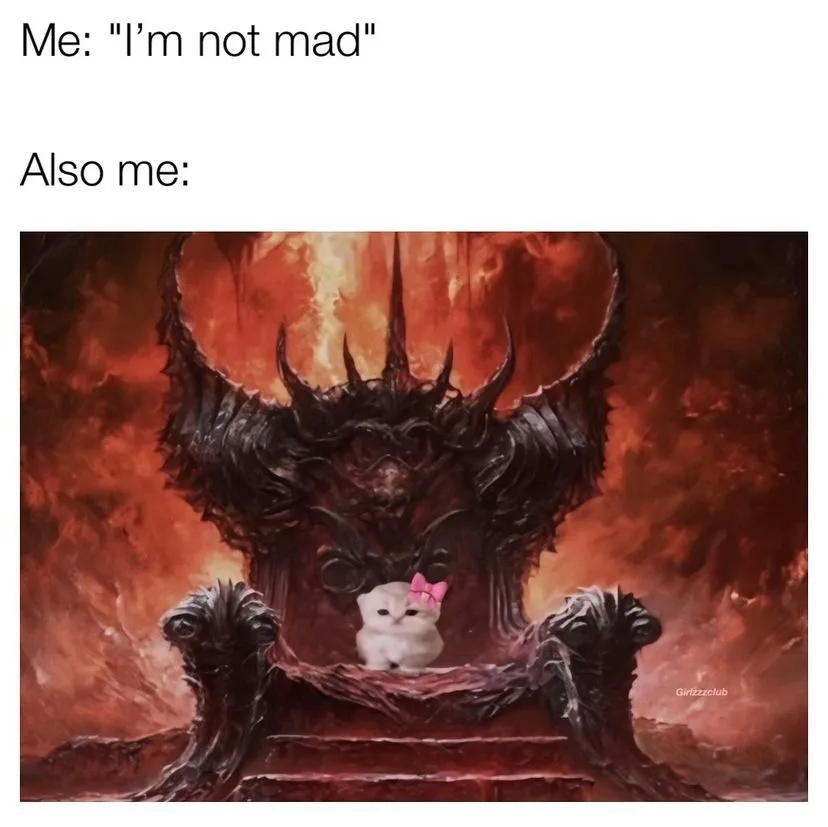 Meme Collection Volume 5: The Best of the Best