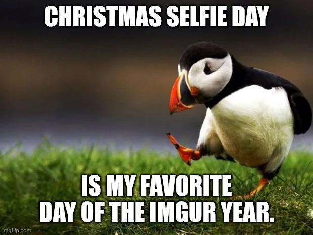 A penguin stands on grass, looking down at its own feet with a self-satisfied expression. White bold text at the top reads…