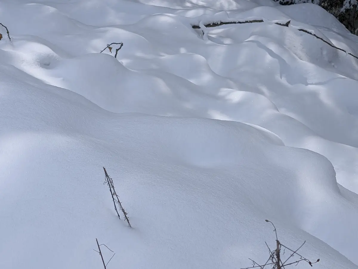 A photo of deep, undulating snowdrifts with sparse, partially buried twigs and branches poking through. The overlaid text…