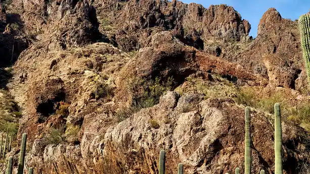 a desert landscape with rugged brown rock formations and numerous green saguaro cacti under a clear blue sky. A large…