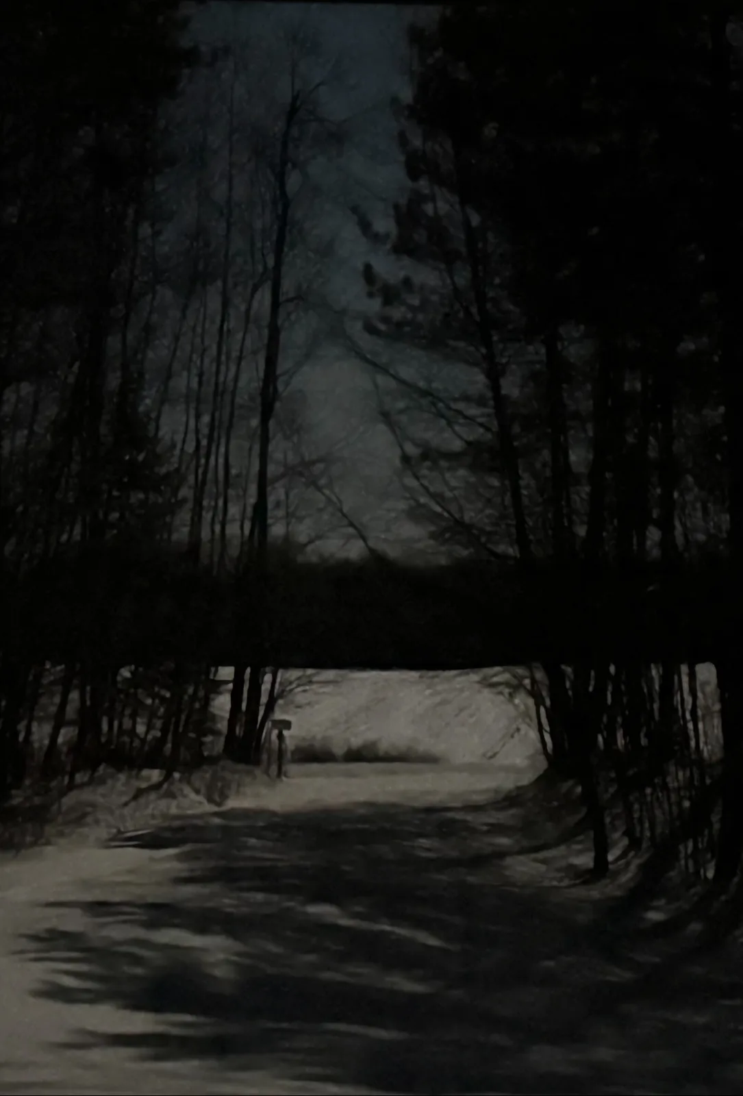 A dark, grainy, atmospheric photo of a snowy forest path at night, flanked by tall, silhouetted trees. A faint, blurry…