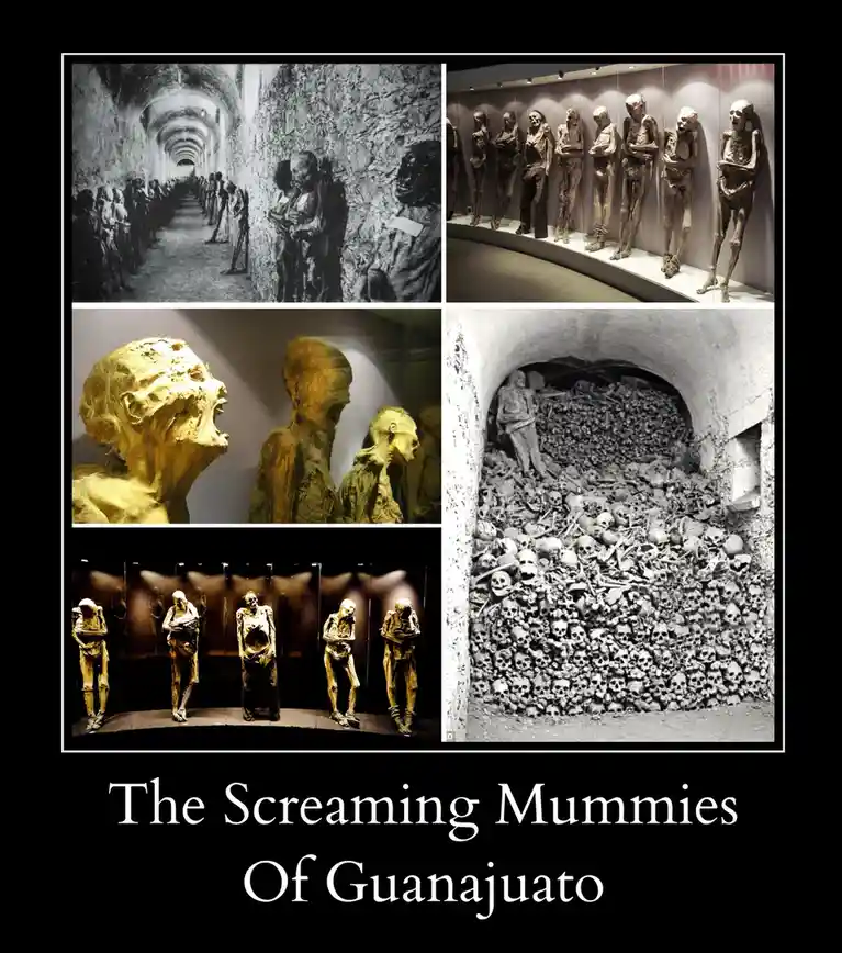 Unveiling the Terrifying Screaming Mummies of Guanajuato!