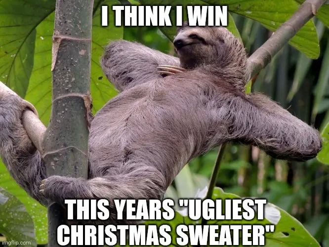 A sloth is hanging upside down from a tree branch in a lush green forest, appearing relaxed and smug. White bold text…