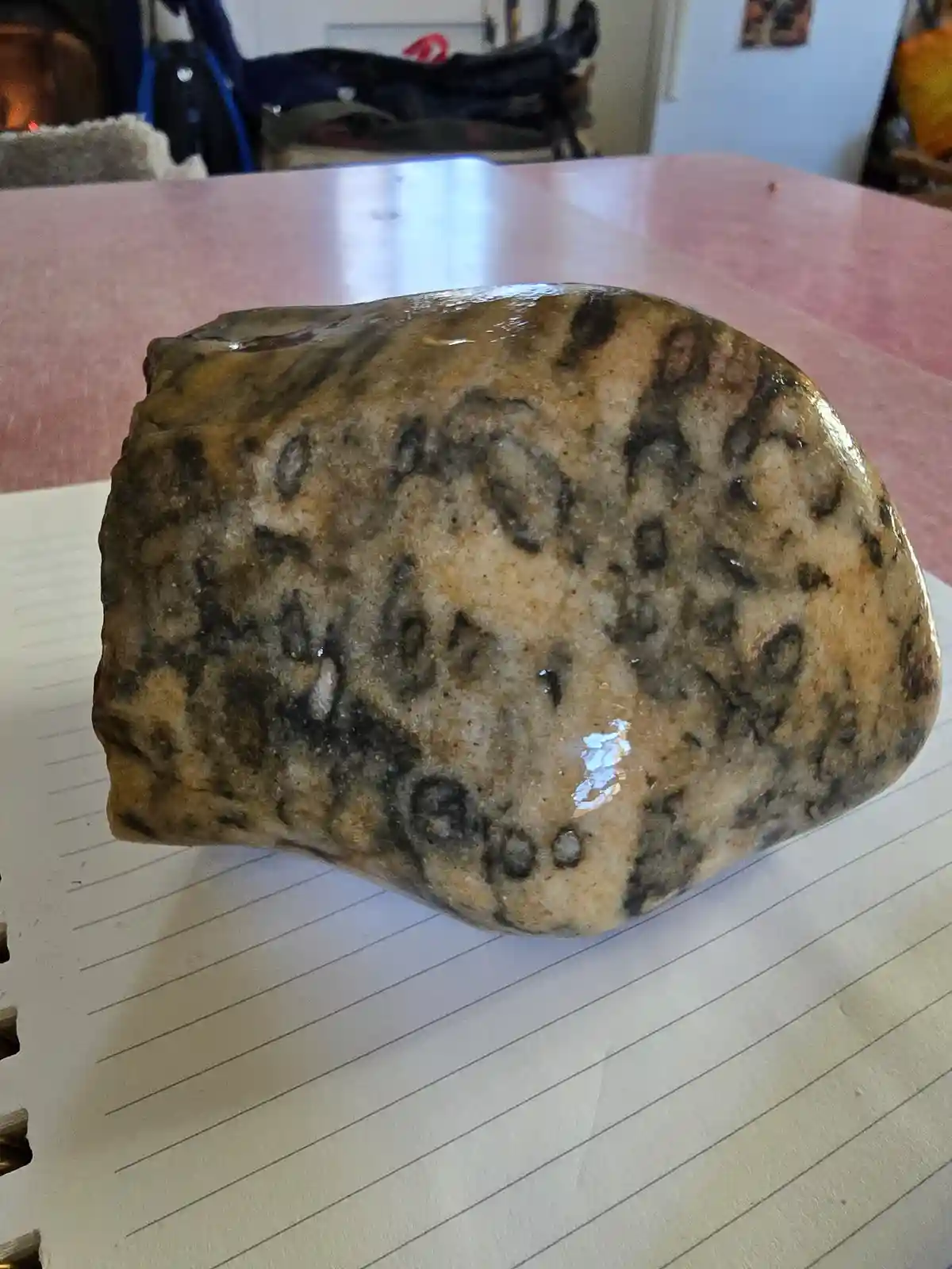 A smooth, wet rock with dark, irregular spots sits on lined notebook paper atop a pink table. The overlaid text reads 'this…