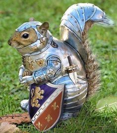 Check out my collection of acorns! It's a tiny meme treasure!