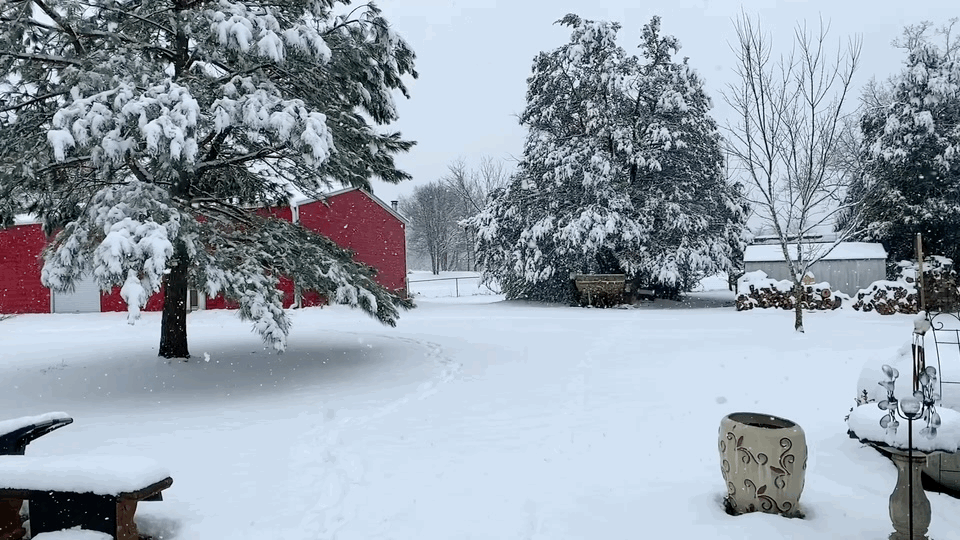 The image shows a snowy outdoor scene with snow-covered trees, picnic tables, and a red building in the background. The same…