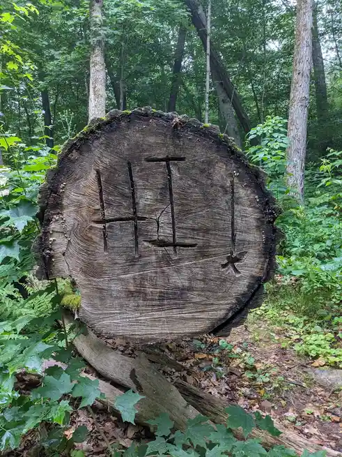 A large, weathered tree stump in a lush green forest has the word 'hit' carved into its surface in a crude, blocky style…