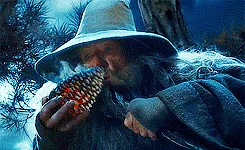 a sequence of six images shows a bearded man in a wide-brimmed hat holding a pinecone. He first holds it up, then brings it…