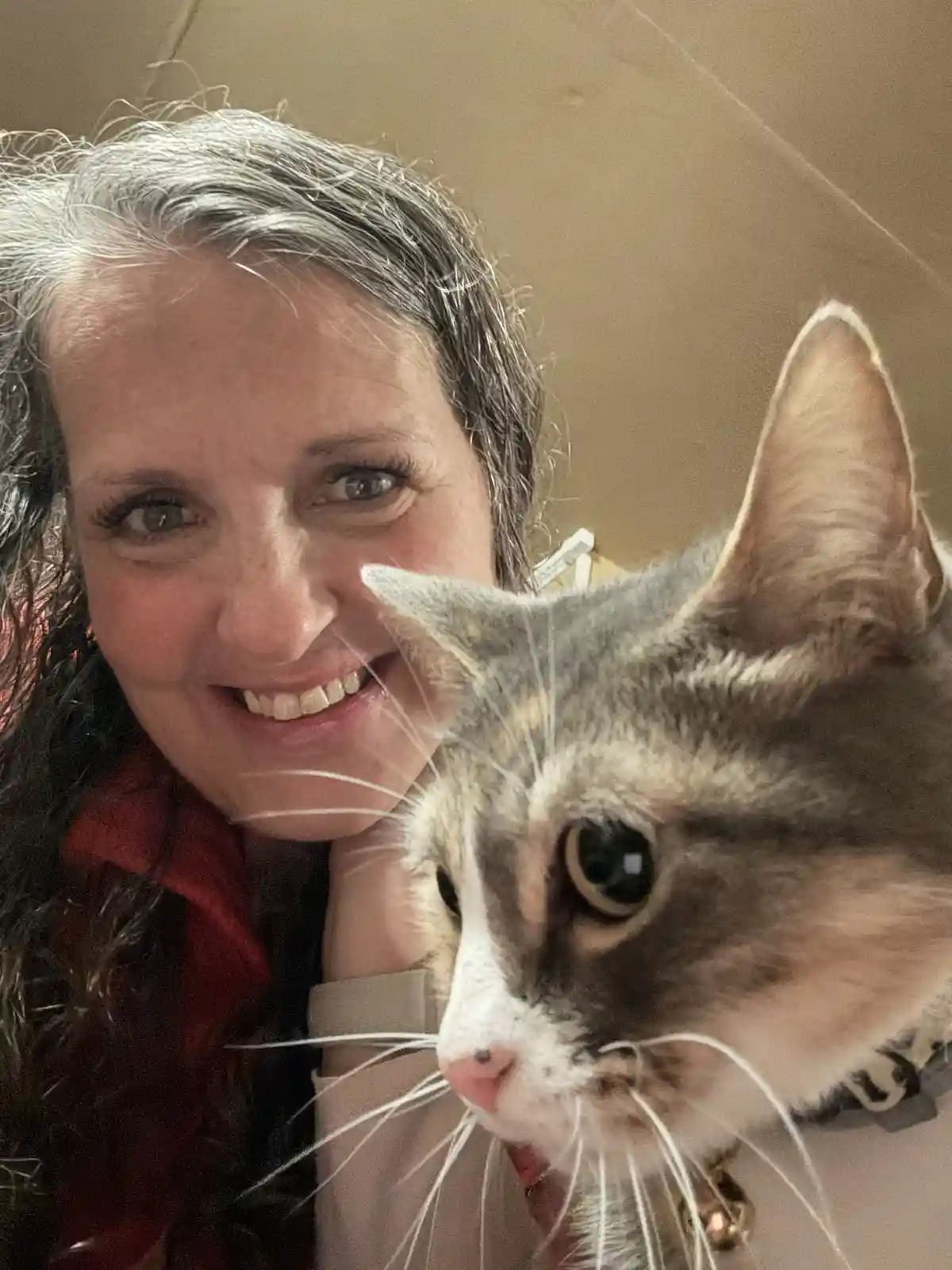 Meet the Kitty Boss: Ruler of the Household