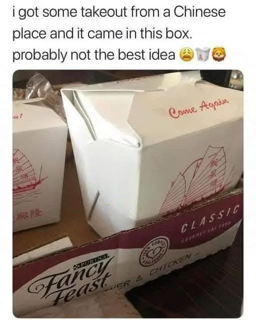 A photo shows two white Chinese takeout boxes with red ship logos and the phrase 'Come Again' printed on them, sitting atop…