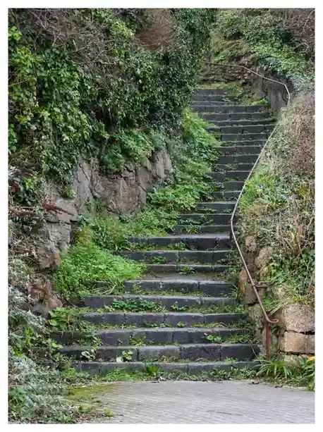 A long, moss-covered stone staircase winds upward through overgrown greenery, flanked by a rusty metal railing on one side…