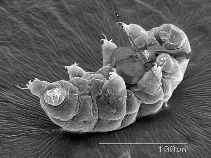 A black-and-white scanning electron microscope image shows a microscopic worm curled up and holding a tiny violin with a…