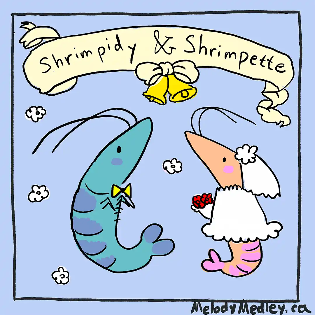 A cartoon illustration shows two anthropomorphic shrimp, one blue in a bowtie and the other pink in a wedding dress with…