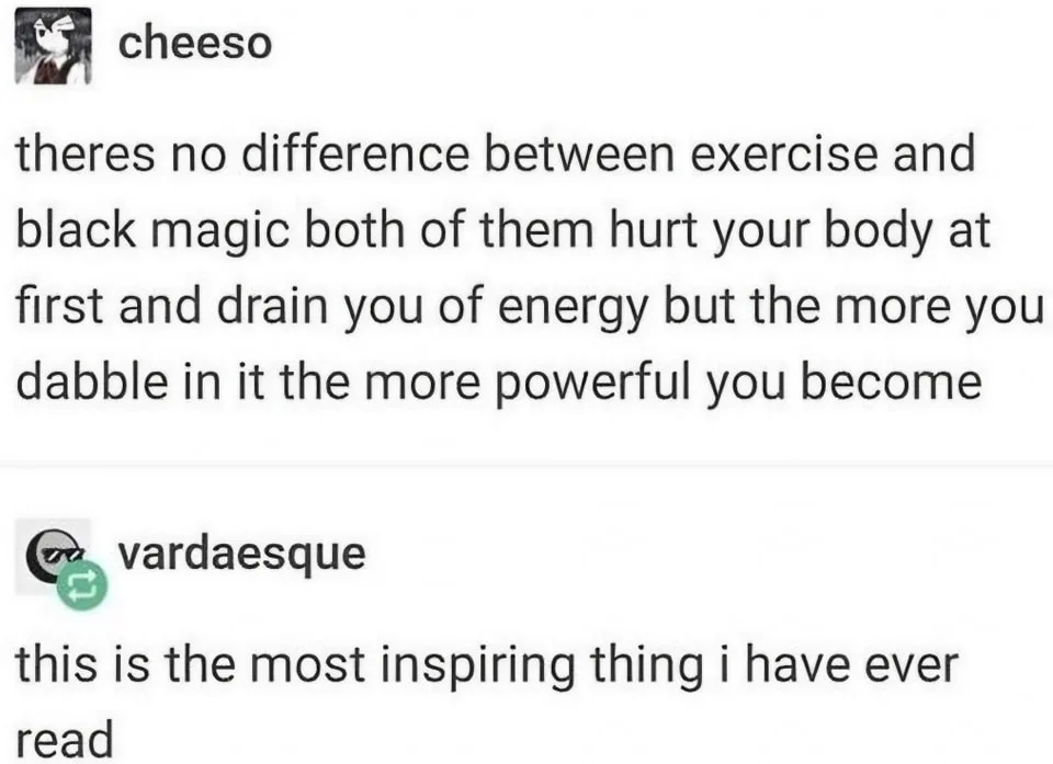A screenshot of a Reddit-style comment thread showing user 'cheeso' posting a philosophical comparison between exercise and…