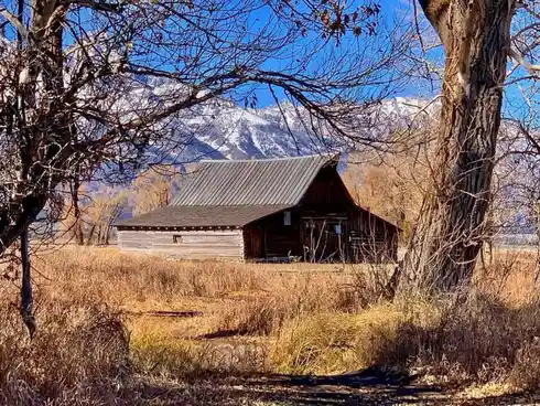 A rustic wooden barn sits in a field of dry grass, framed by bare tree branches, with snow-capped mountains visible in the…