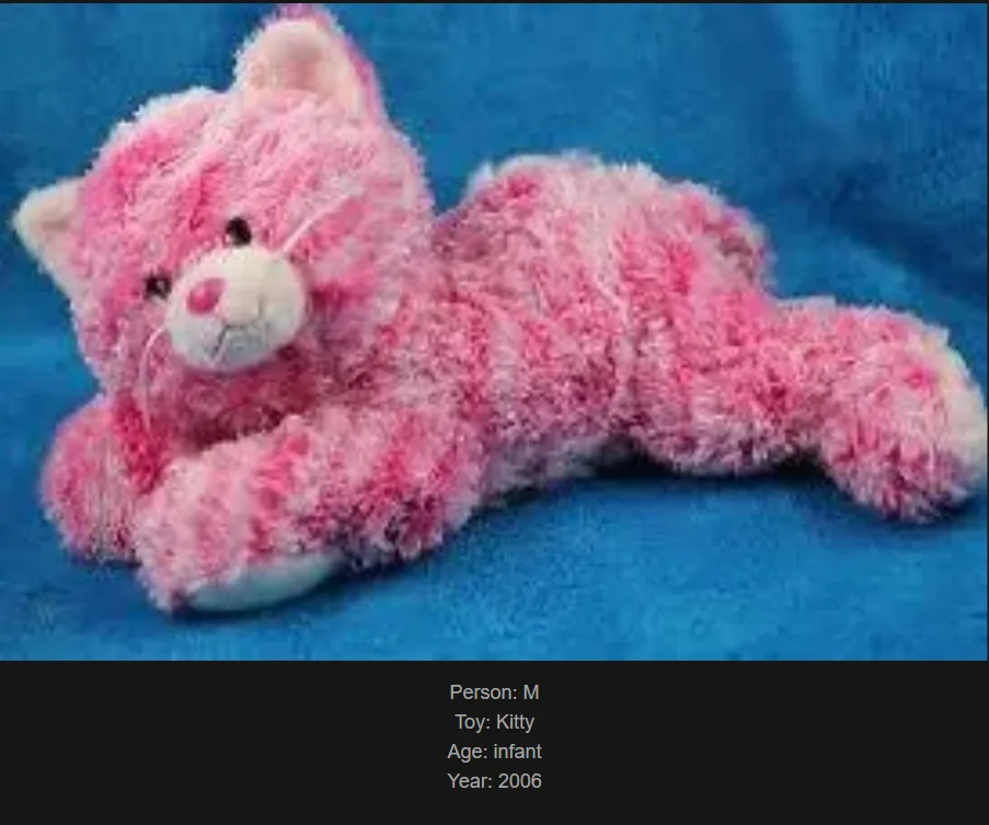 A fluffy pink stuffed cat toy lies on a blue fabric background. Text at the bottom reads 'Person: M', 'Toy: Kitty', 'Age…