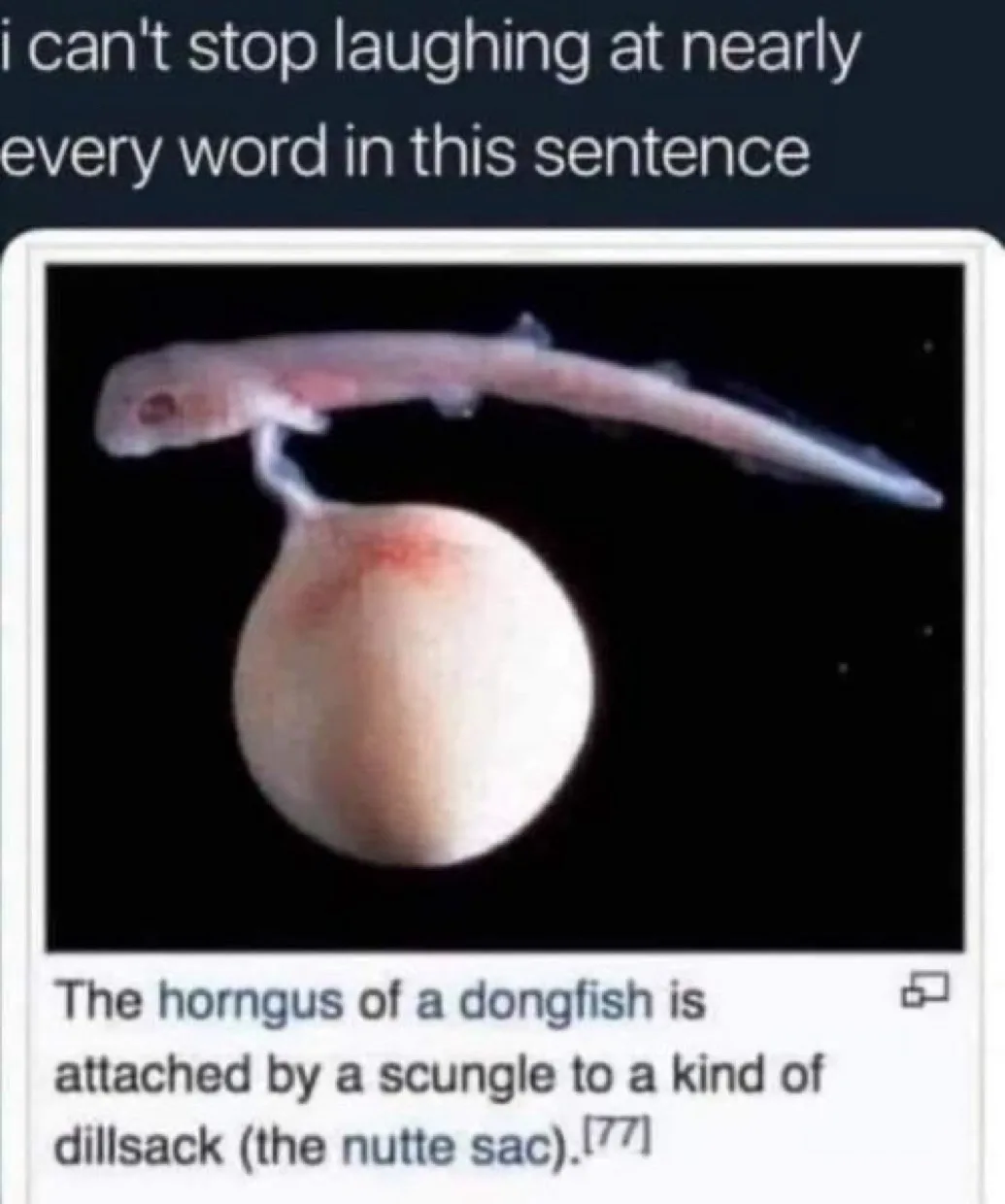 The image shows a small, translucent fish-like creature with a long tail and a visible head, attached to a large, round…