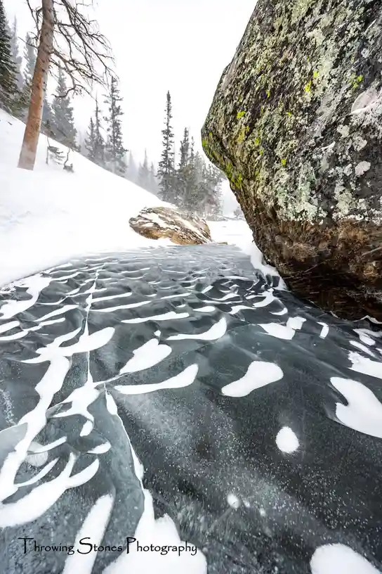 A snowy winter scene shows a partially frozen stream with intricate ice patterns and snow patches, bordered by a large mossy…