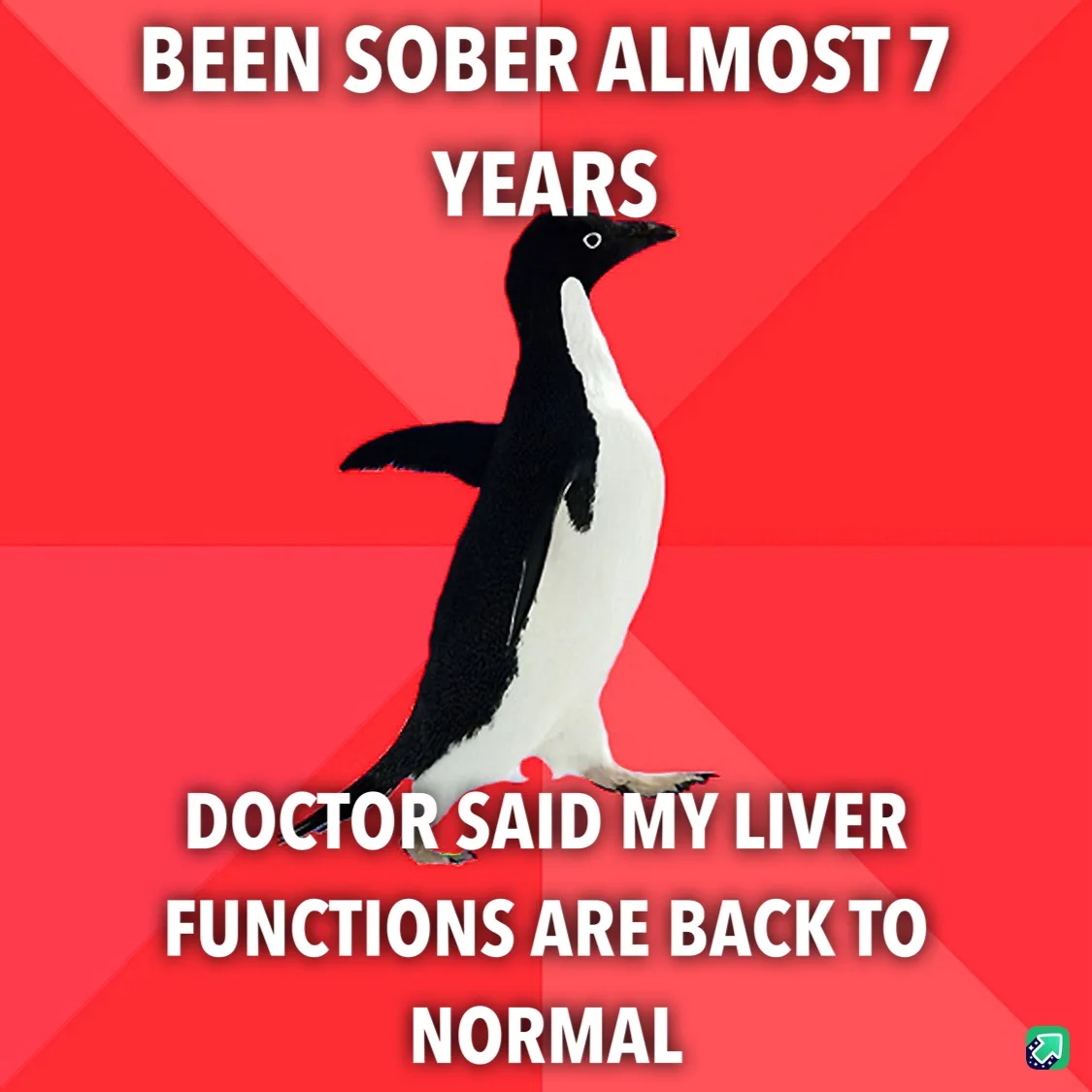 A black-and-white penguin stands against a red background with white text overlaid. The top text reads 'BEEN SOBER ALMOST 7…