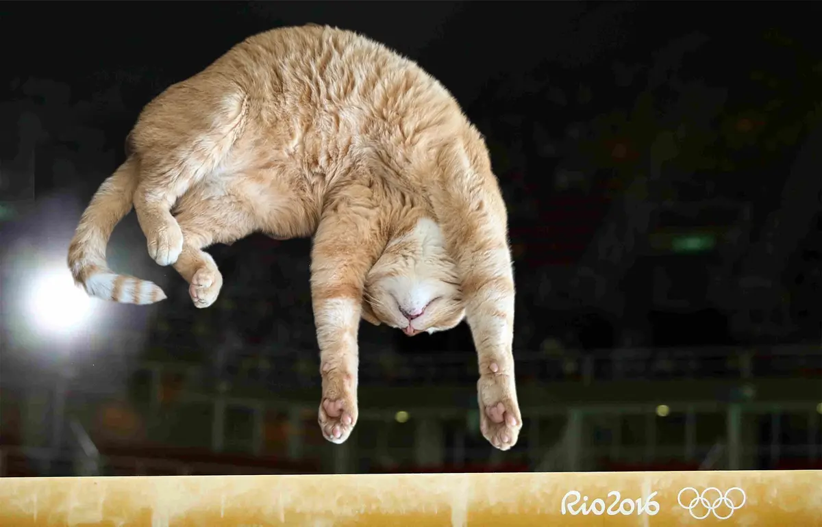 An orange tabby cat is captured mid-air, arching its body in a gymnastic pose above a balance beam, with the 'Rio2016'…