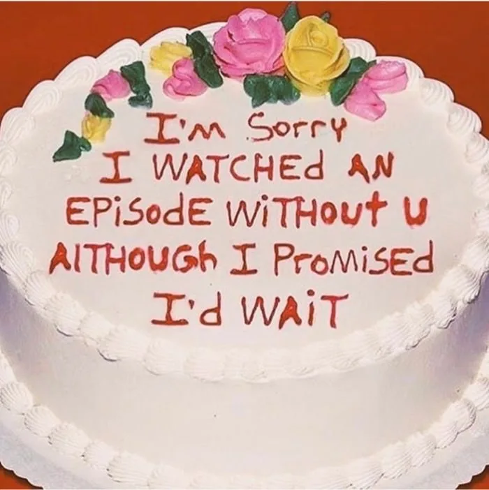 A white frosted cake with piped borders and colorful icing flowers on top has red icing text that reads 'I'm Sorry I WATCHED…