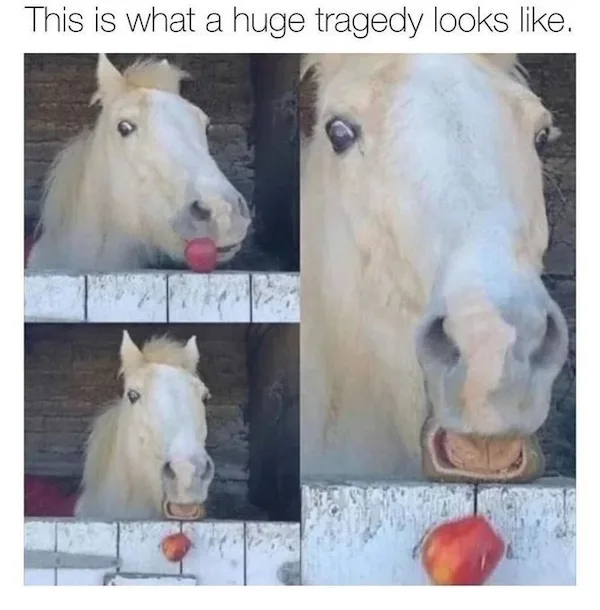 Oh No! Not My Apple!