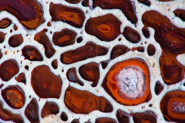a macro photograph of a polished agate slice reveals intricate, organic patterns of brown, orange, and white bands with…