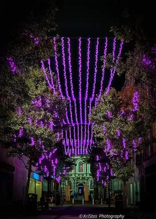 A nighttime street scene with trees on both sides adorned with cascading purple string lights hanging overhead, illuminating…
