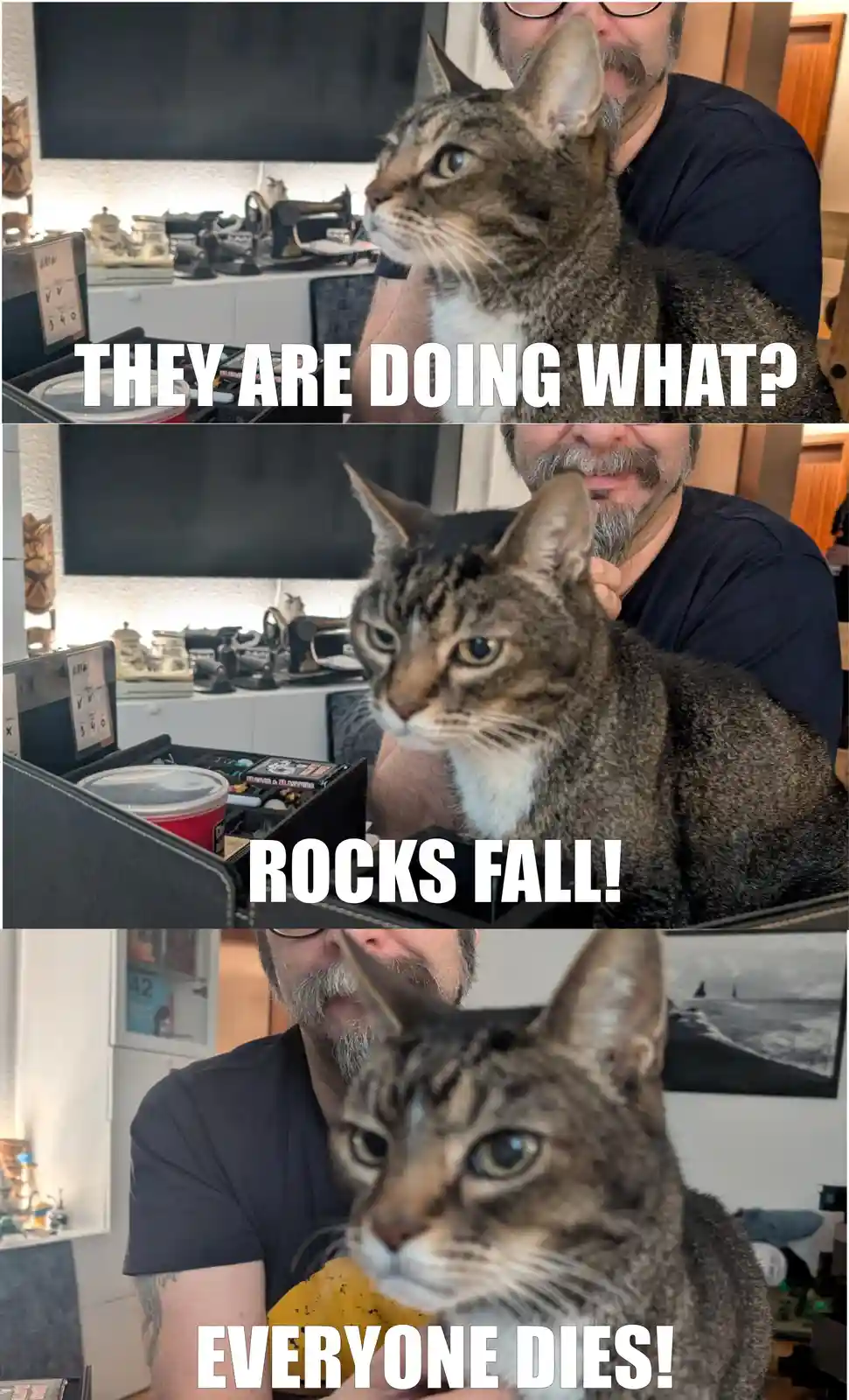 A three-panel meme featuring a man holding a tabby cat in different poses. In the top panel, the cat looks confused as text…