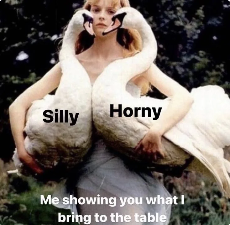 A woman holds two swans, one labeled 'Silly' and the other 'Horny', with the caption 'Me showing you what I bring to the…