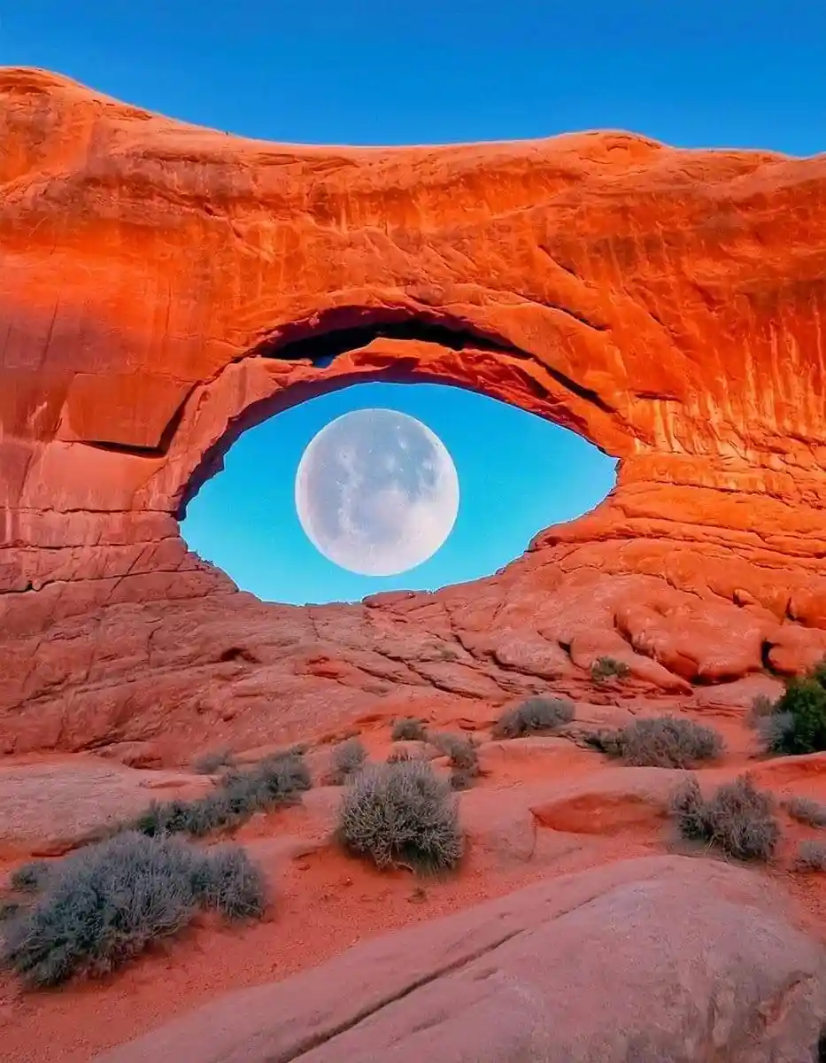 Perfectly Timed Photos That Capture the Moment!