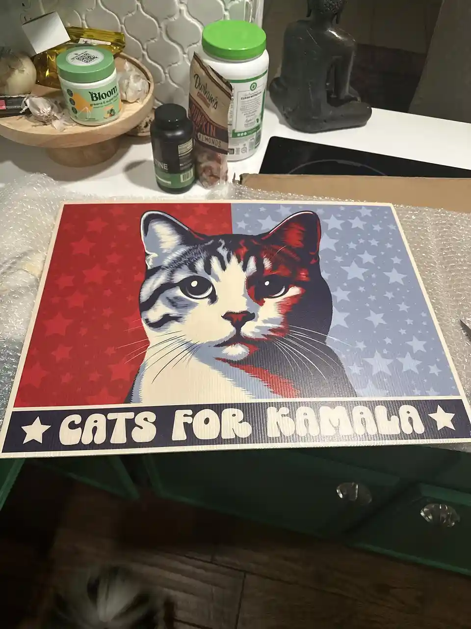 A political-style poster featuring a cat's face split down the middle with red stars on the left and white stars on a blue…