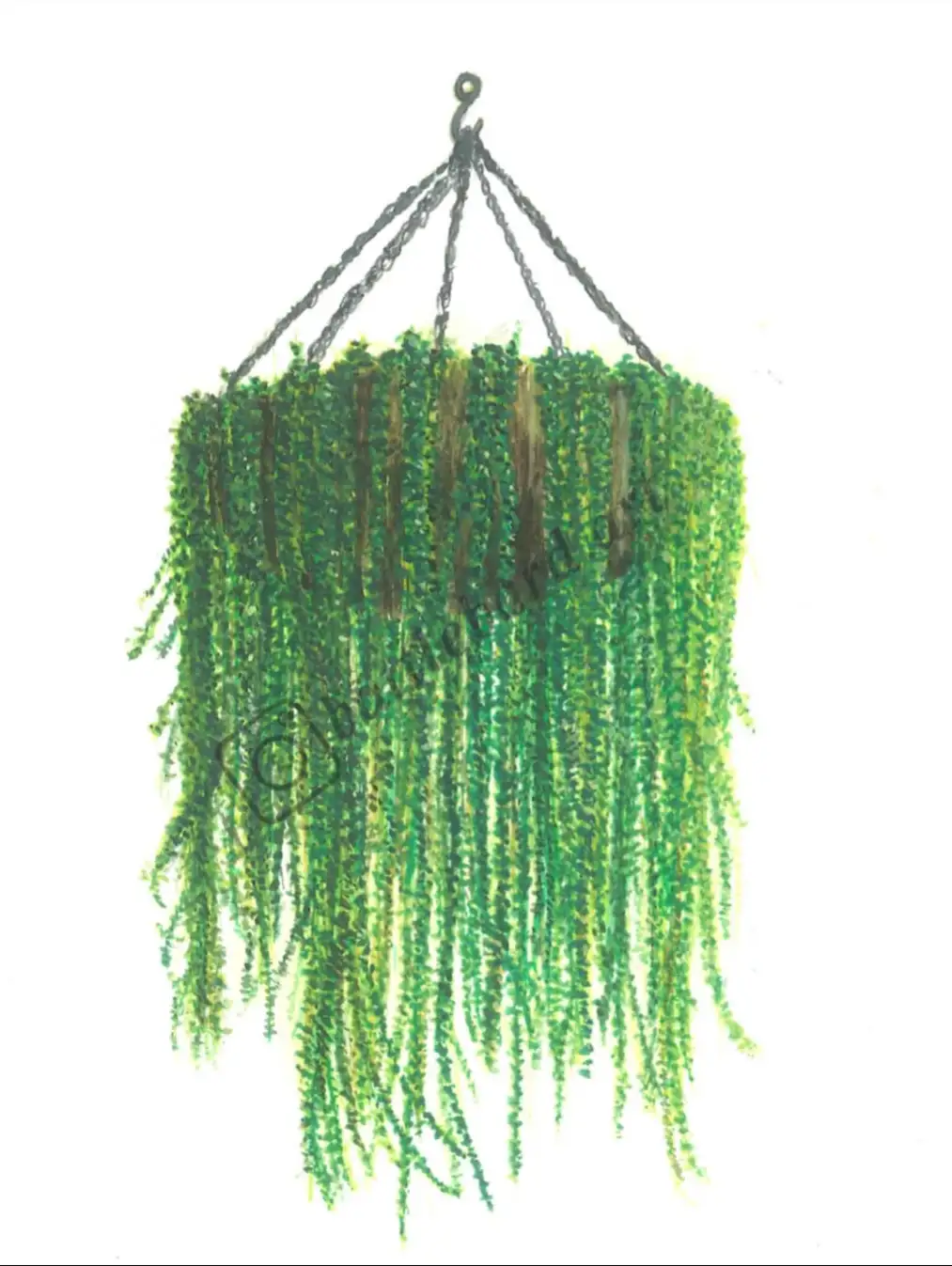 A drawing of a hanging plant with long, cascading green vines suspended by chains from a hook, overlaid with the text 'i'm…