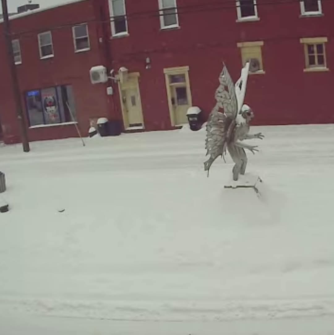 A person wearing a large, elaborate butterfly costume stands in a snowy urban street in front of a red brick building. The…