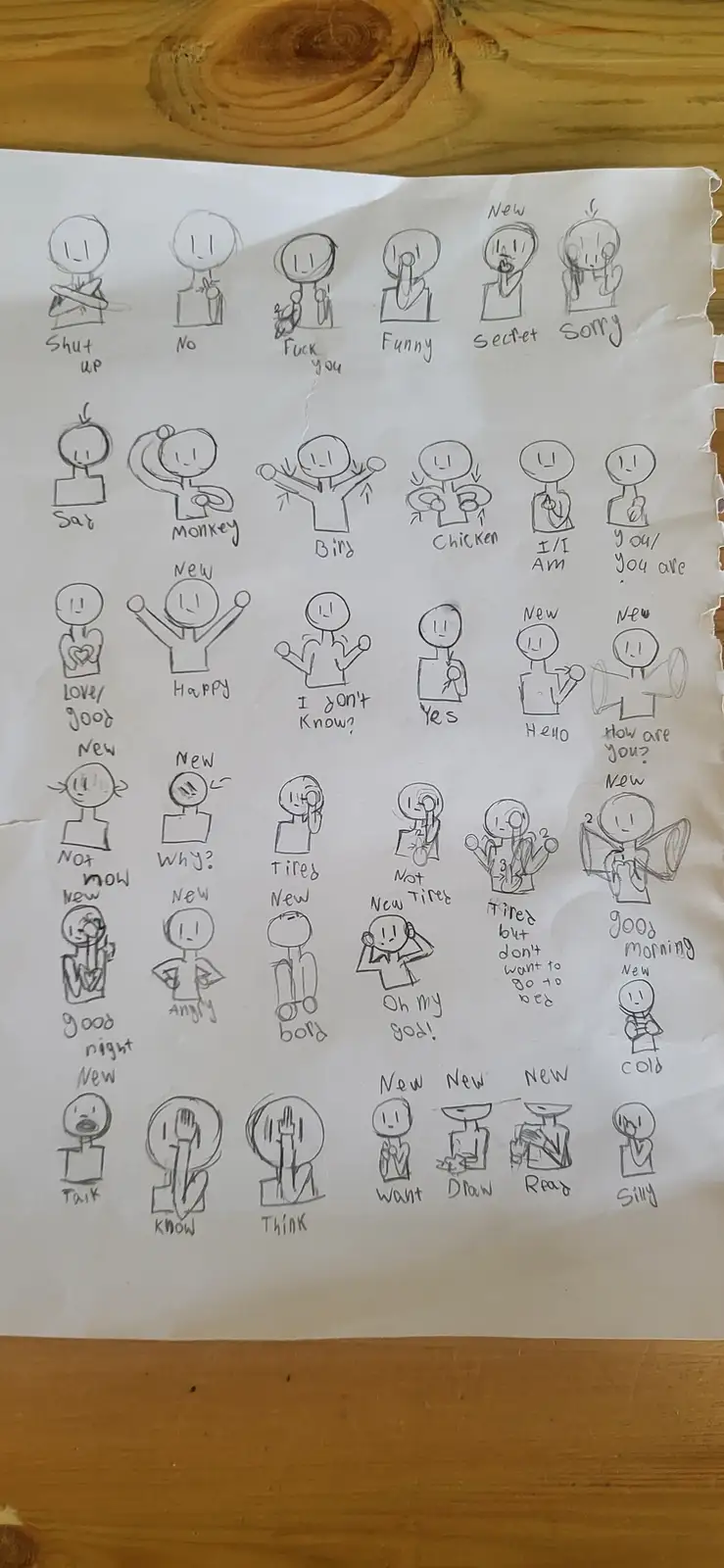 A hand-drawn sheet of paper displays a grid of simple stick-figure drawings, each with a handwritten label describing a…