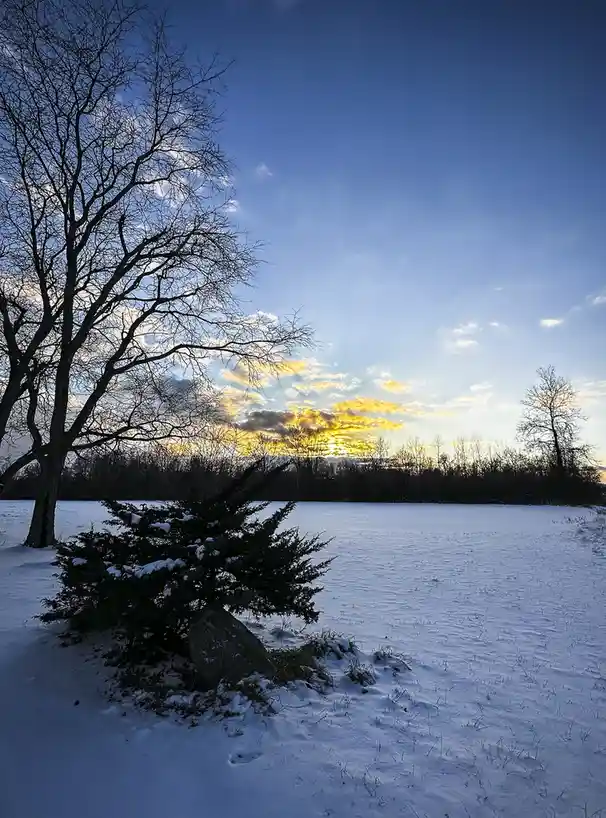 A serene winter landscape shows a snow-covered field under a blue sky with golden sunset clouds, featuring bare trees and a…